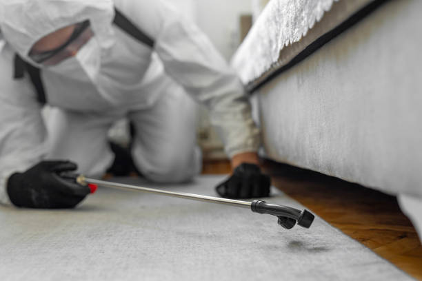Professional Termite Control technician working in North Oaks, MN