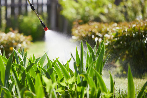 24/7 Emergency Termite Control experts in North Oaks, MN