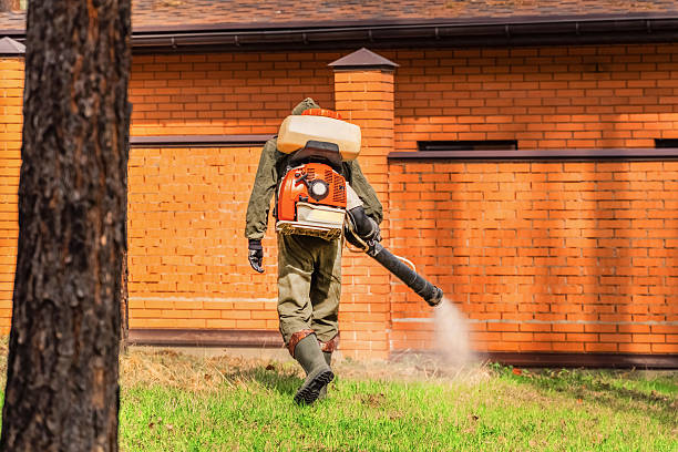 Top rated local Termite Control specialists in North Oaks, MN
